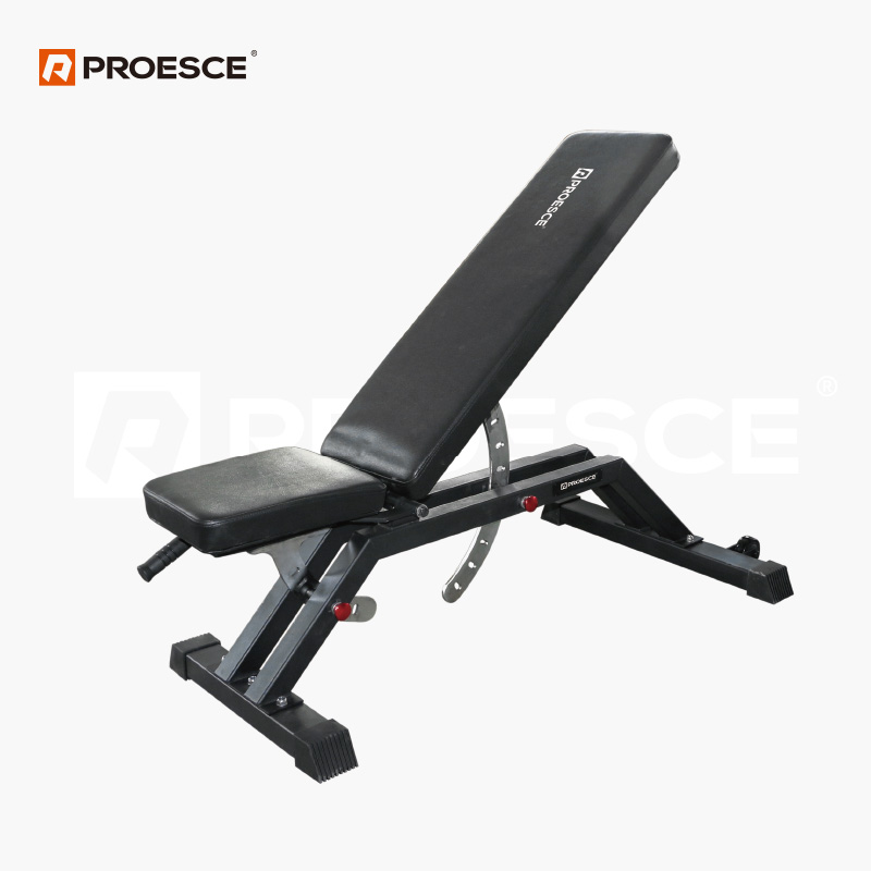 Adjustable Dumbbell Bench | FID Weight Workout Bench PROESCE LKU-1121