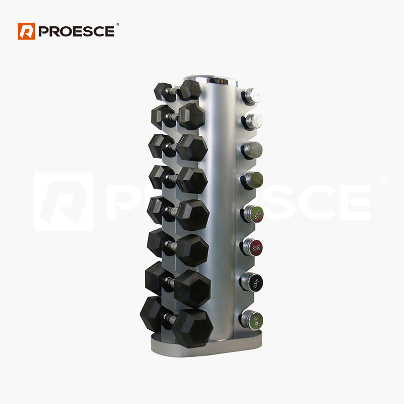 Vertical Dumbbell Rack | 8 Pairs Dumbbell Storage Stand PROESCE LRK-106