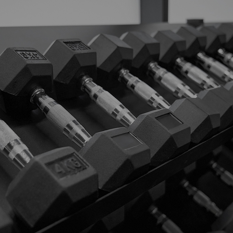 commercial rubber hex dumbbells
