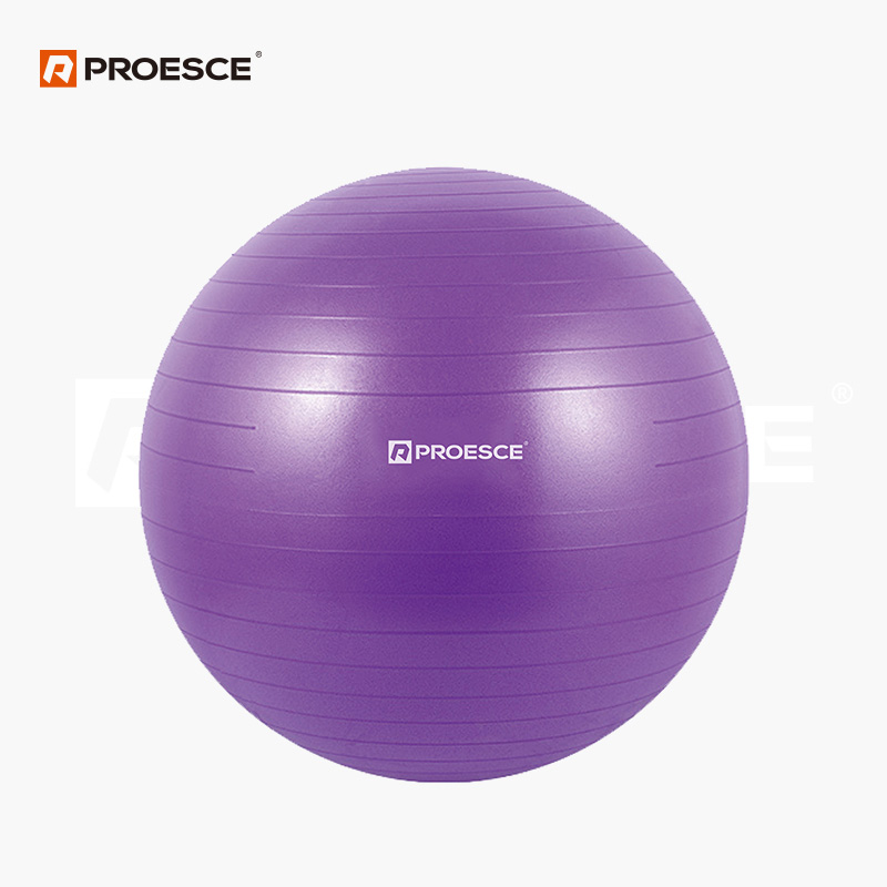 Anti-Burst Gym Ball | PVC Stability Swiss Exercise Ball PROESCE LGB-1502