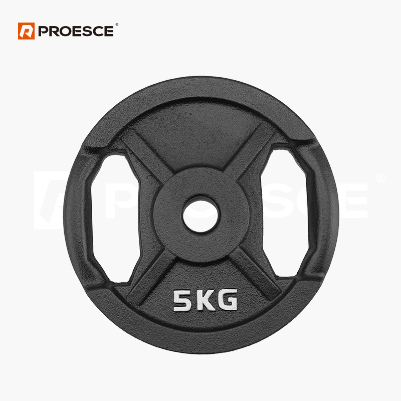 Cast Iron Handle Barbell Weight Plate PROESCE LKPL-181