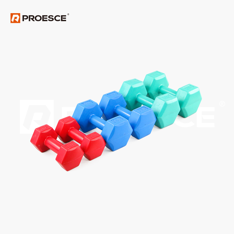 Cement Hex Dumbbell 1kg-10kg | Anti-Roll PE Coated Hand Weights PROESCE LKDB-602