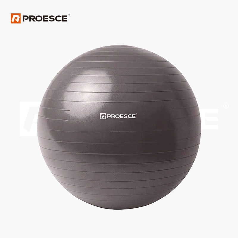 PVC Exercise Gym Ball | PROESCE Non Anti-Burst Fitness Stability Ball LGB-1501
