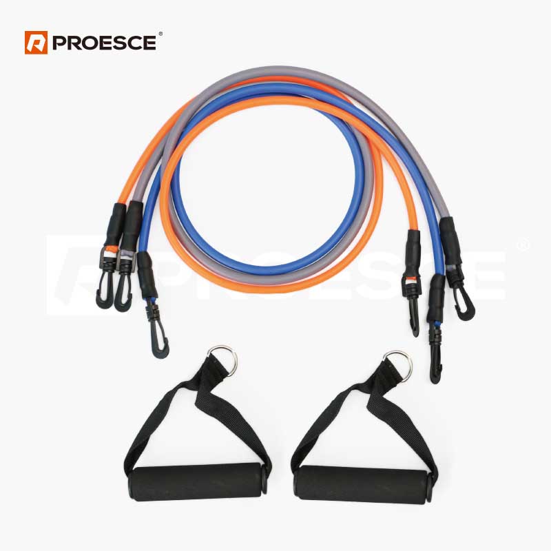 Resistance Tube Set | Adjustable Exercise Tubes with Handles PROESCE LEP‑6303