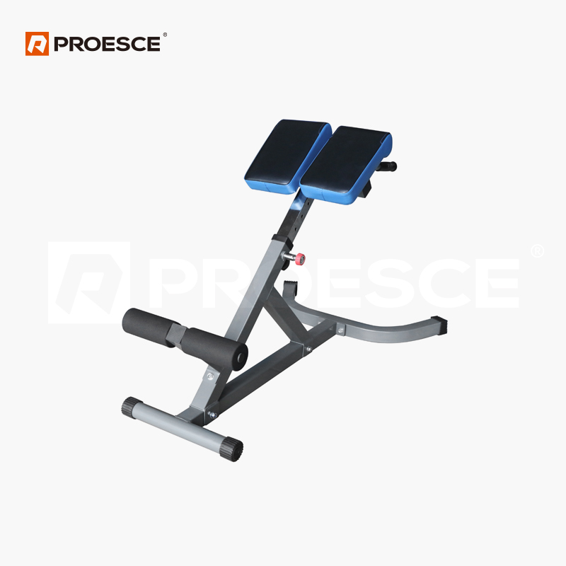 Roman Chair Hyperextension Bench | PROESCE Back Extension Trainer LKC‑904