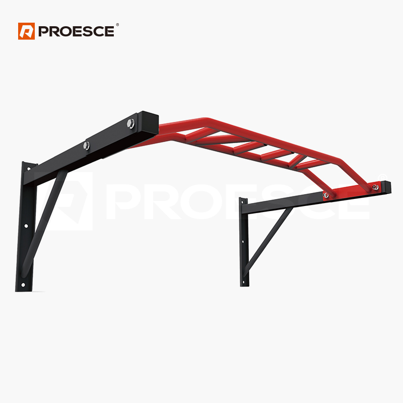 Wall‑Mounted Multi‑Grip Chin‑Up Rack | PROESCE Upper‑Body Pull‑Up Training Station LCR‑1102