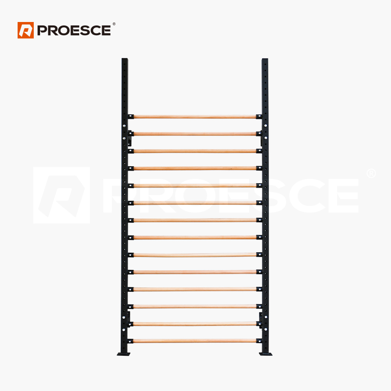 Wall‑Mounted Swedish Ladder Pull‑up Rig | PROESCE Multi‑Functional Wall Training Station LKC‑845