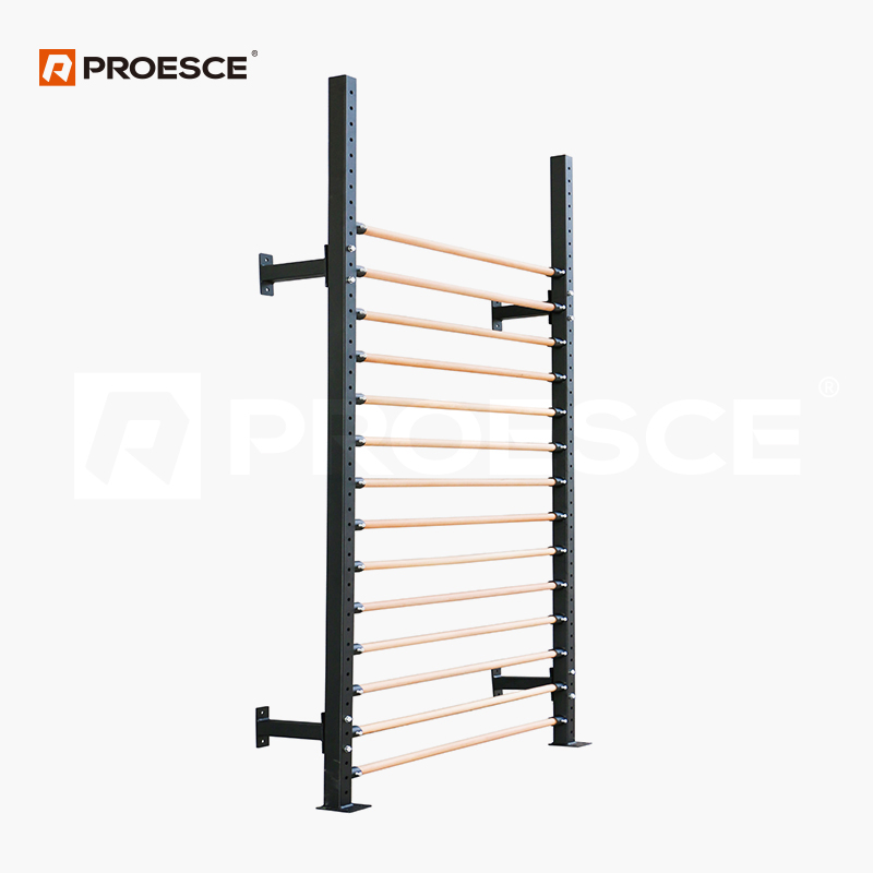 Wall‑Mounted Swedish Ladder Pull‑up Rig | PROESCE Multi‑Functional Wall Training Station LKC‑845