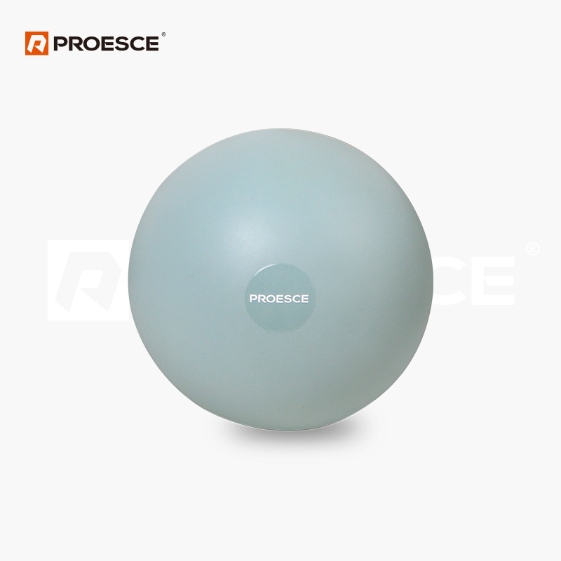 Weighted Pilates Mini Ball | Anti-Roll PVC Exercise Ball PROESCE LGB-1612