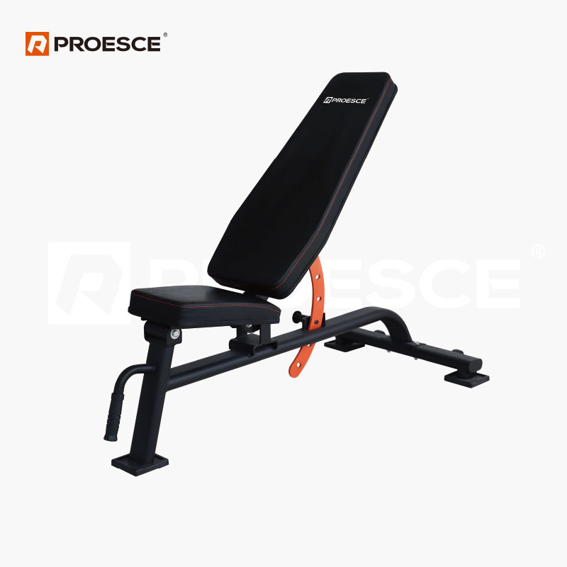 Adjustable Dumbbell Weight Bench | Flat & Incline Workout Bench PROESCE LKU-1160