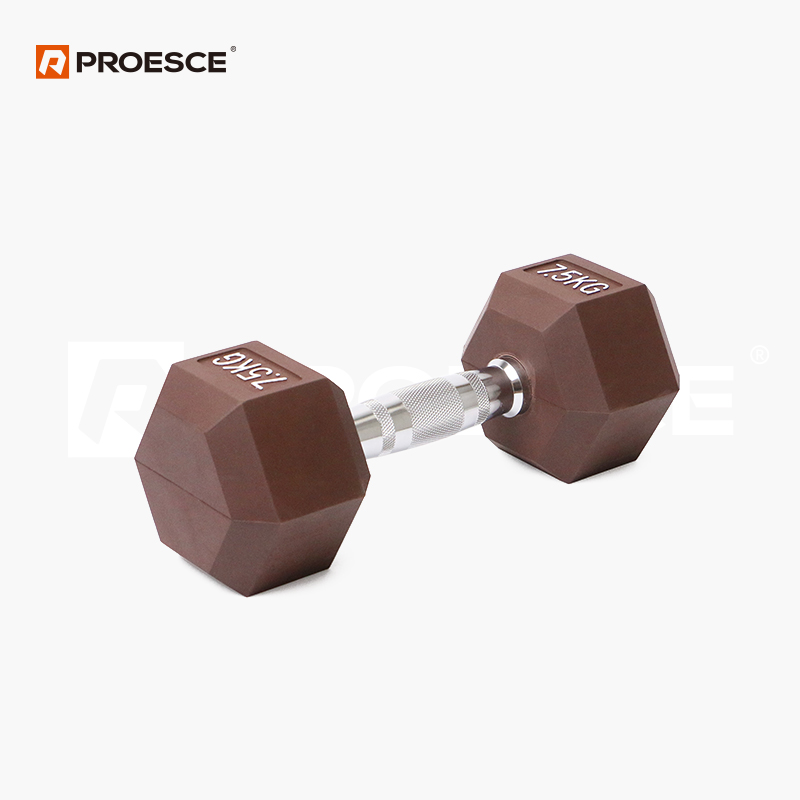 Colored Rubber Hex Dumbbell | Non Roll Gym Dumbbell PROESCE LKDB-111E